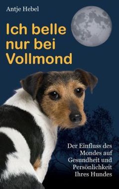 wie der Mond auch beim Leben mit Hunden helfen kann